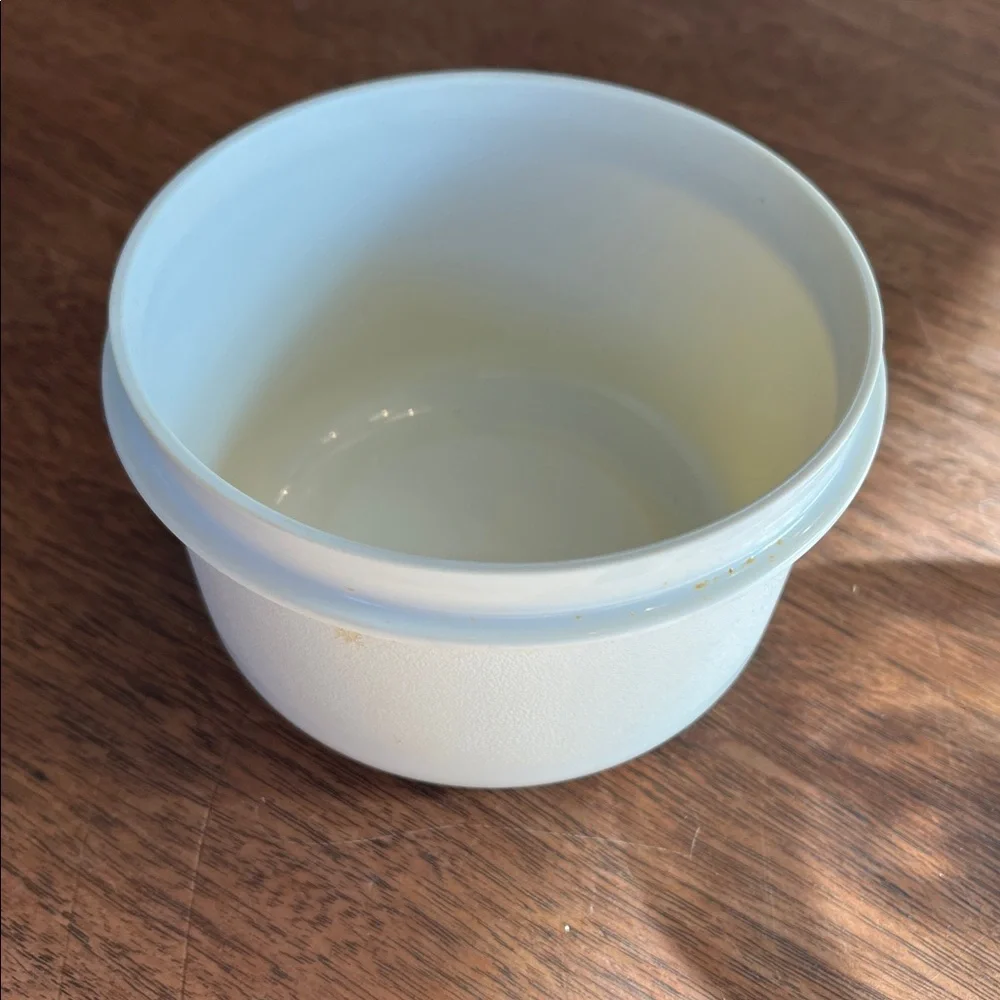 Vintage Tupperware Divided Veggie Dip Tray #1665-5 & Dip Bowl w/lids Almond